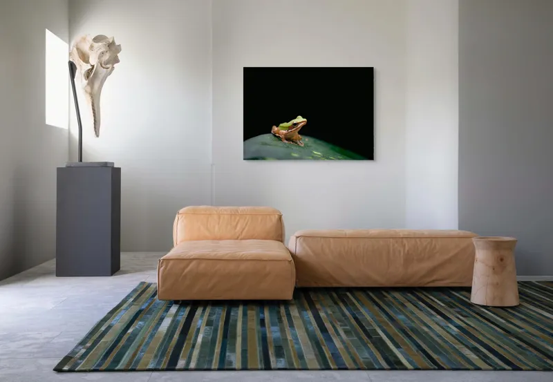 Tablou Canvas, "Broasca pe frunza verde întunecată", Broască, Frunză, Verde, Noapte, Solitudine, Observație, Natură, 100 x 70 cm – poza 7