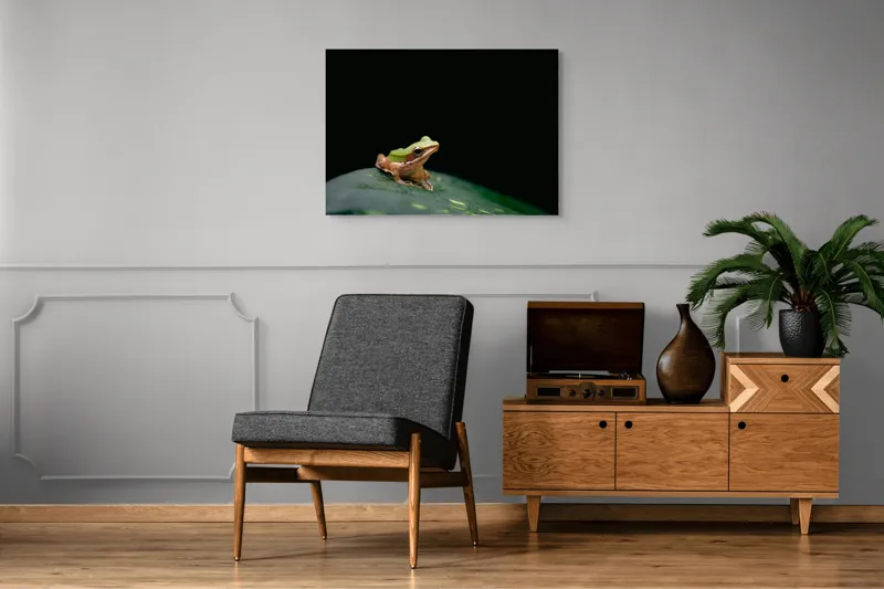 Tablou Canvas, "Broasca pe frunza verde întunecată", Broască, Frunză, Verde, Noapte, Solitudine, Observație, Natură, 100 x 70 cm – poza 8