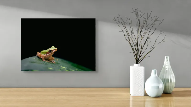 Tablou Canvas, "Broasca pe frunza verde întunecată", Broască, Frunză, Verde, Noapte, Solitudine, Observație, Natură, 54 x 39 cm – poza 3