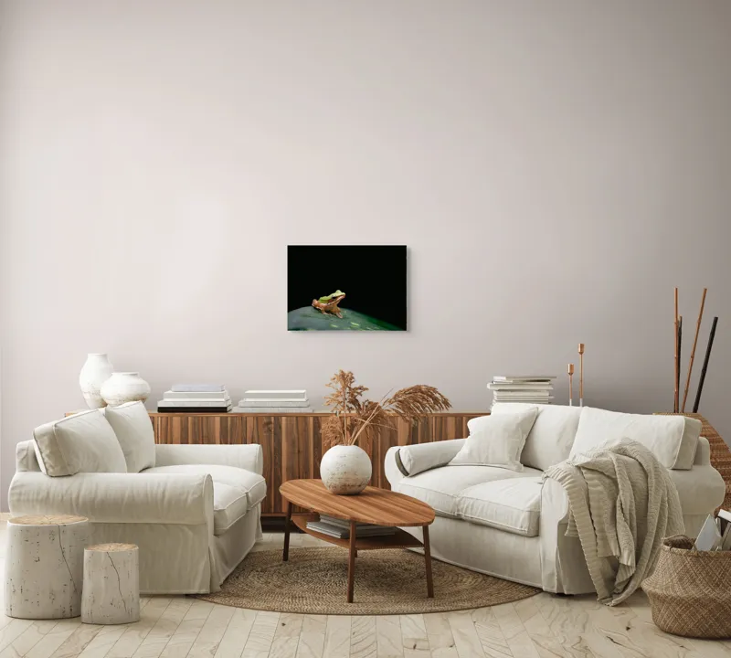 Tablou Canvas, "Broasca pe frunza verde întunecată", Broască, Frunză, Verde, Noapte, Solitudine, Observație, Natură, 54 x 39 cm – poza 5