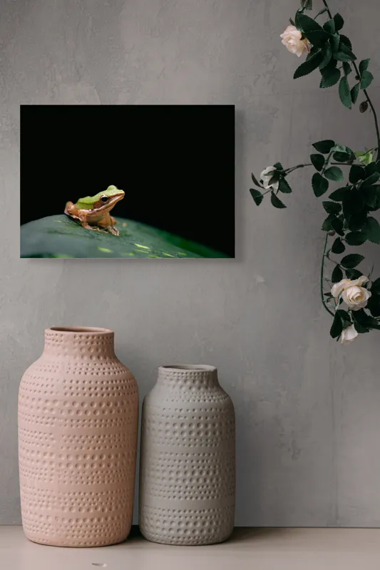 Tablou Canvas, "Broasca pe frunza verde întunecată", Broască, Frunză, Verde, Noapte, Solitudine, Observație, Natură, 54 x 39 cm – poza 8
