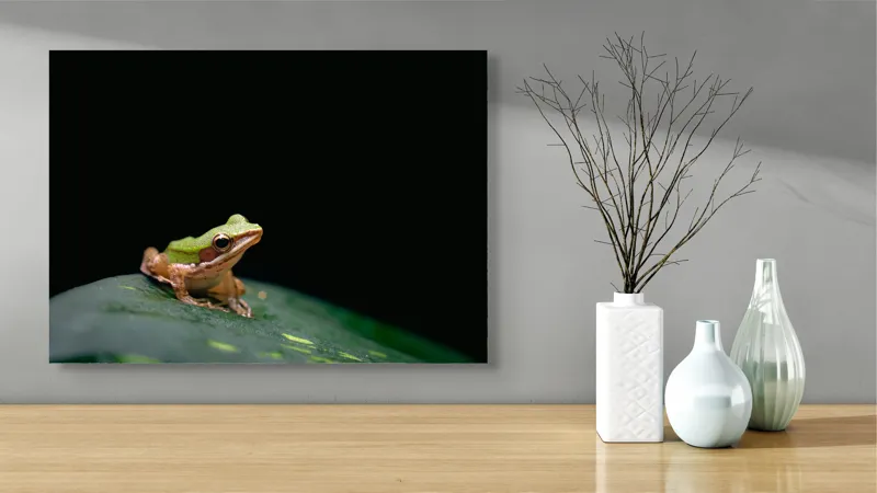 Tablou Canvas, "Broasca pe frunza verde întunecată", Broască, Frunză, Verde, Noapte, Solitudine, Observație, Natură, 70 x 50 cm – poza 3