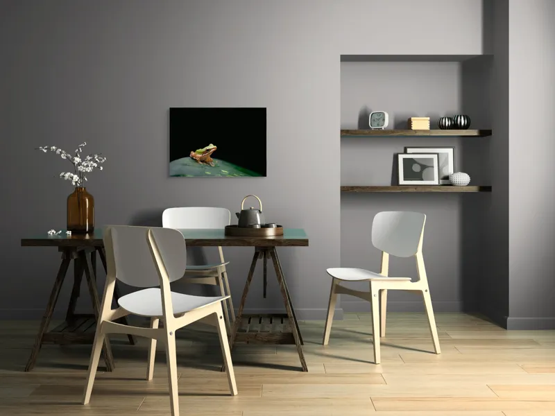 Tablou Canvas, "Broasca pe frunza verde întunecată", Broască, Frunză, Verde, Noapte, Solitudine, Observație, Natură, 70 x 50 cm – poza 5
