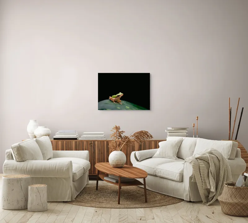 Tablou Canvas, "Broasca pe frunza verde întunecată", Broască, Frunză, Verde, Noapte, Solitudine, Observație, Natură, 70 x 50 cm – poza 6