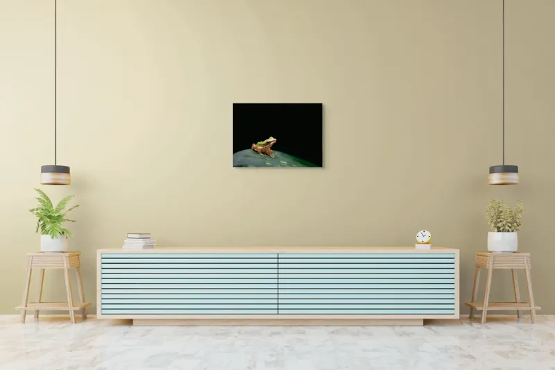 Tablou Canvas, "Broasca pe frunza verde întunecată", Broască, Frunză, Verde, Noapte, Solitudine, Observație, Natură, 70 x 50 cm – poza 7