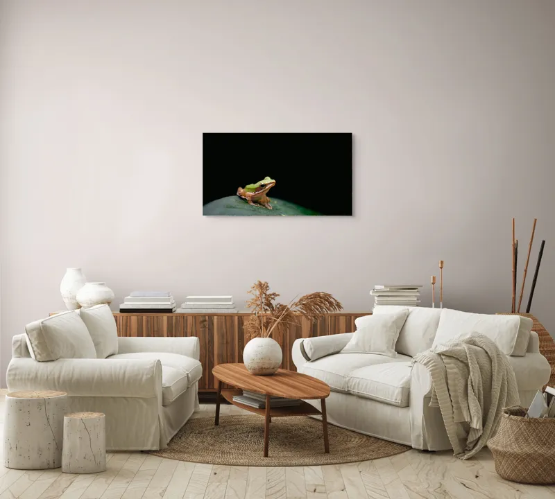 Tablou Canvas, "Broasca pe frunza verde întunecată", Broască, Frunză, Verde, Noapte, Solitudine, Observație, Natură, 90 x 50 cm – poza 4