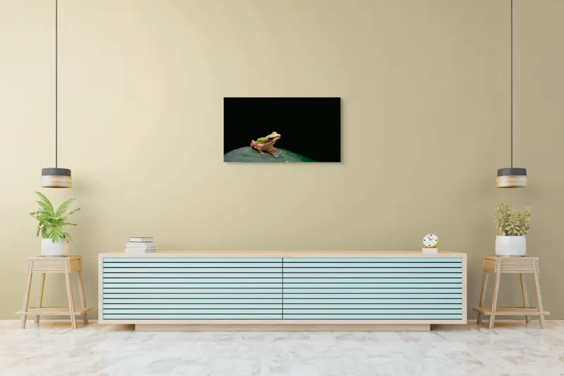 Tablou Canvas, "Broasca pe frunza verde întunecată", Broască, Frunză, Verde, Noapte, Solitudine, Observație, Natură, 90 x 50 cm – poza 5