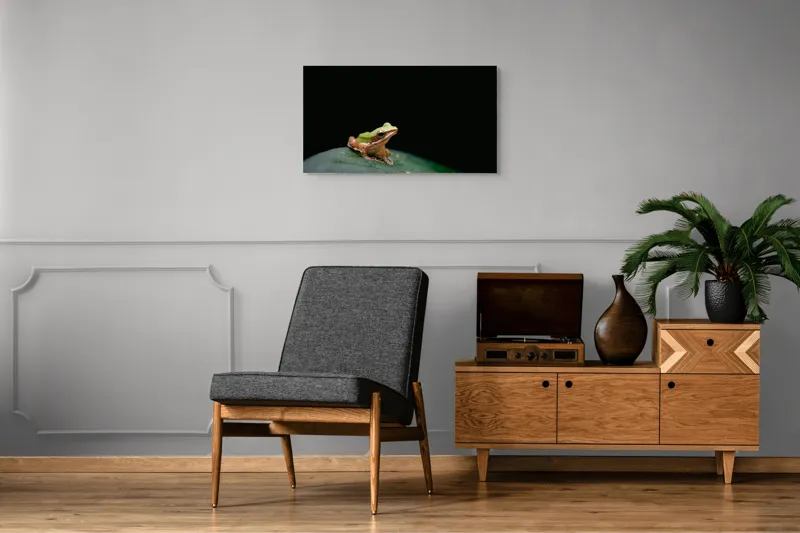Tablou Canvas, "Broasca pe frunza verde întunecată", Broască, Frunză, Verde, Noapte, Solitudine, Observație, Natură, 90 x 50 cm – poza 6