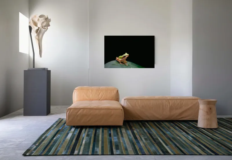 Tablou Canvas, "Broasca pe frunza verde întunecată", Broască, Frunză, Verde, Noapte, Solitudine, Observație, Natură, 90 x 50 cm – poza 8