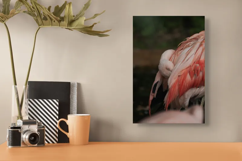 Tablou Canvas, "Flamingo adormit în culori delicate", Roz, Penaj, Flamingo, Delicat, Serenitate, Odihnă, Natură, Eleganță., 26 x 39 cm – poza 3