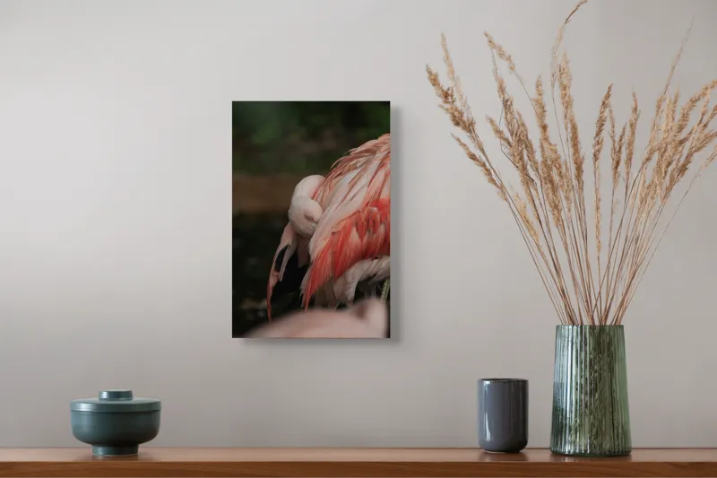 Tablou Canvas, "Flamingo adormit în culori delicate", Roz, Penaj, Flamingo, Delicat, Serenitate, Odihnă, Natură, Eleganță., 26 x 39 cm – poza 5