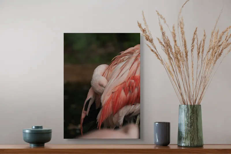 Tablou Canvas, "Flamingo adormit în culori delicate", Roz, Penaj, Flamingo, Delicat, Serenitate, Odihnă, Natură, Eleganță., 39 x 54 cm – poza 3