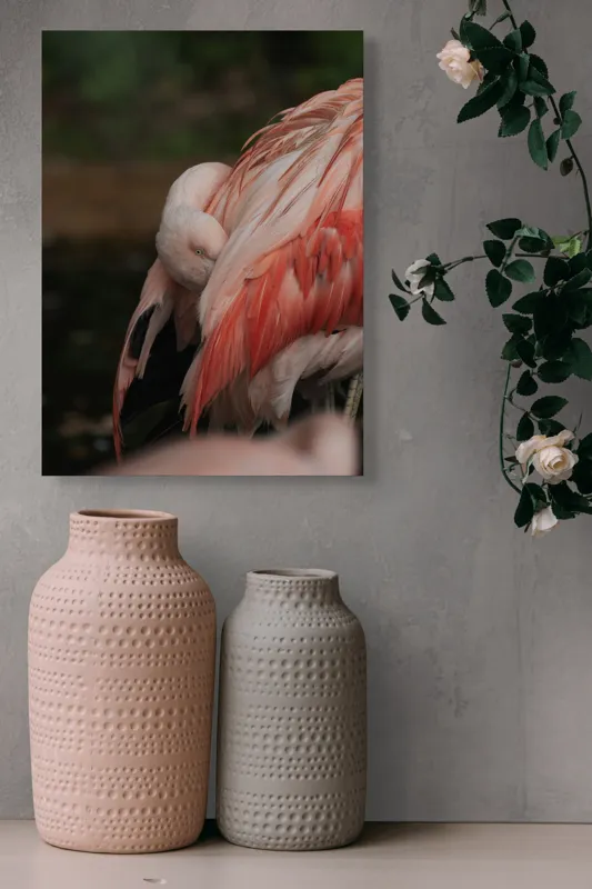 Tablou Canvas, "Flamingo adormit în culori delicate", Roz, Penaj, Flamingo, Delicat, Serenitate, Odihnă, Natură, Eleganță., 39 x 54 cm – poza 6