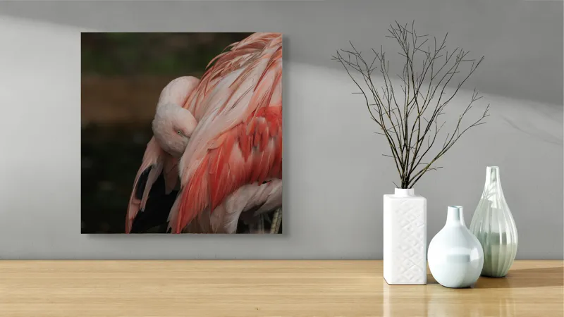Tablou Canvas, "Flamingo adormit în culori delicate", Roz, Penaj, Flamingo, Delicat, Serenitate, Odihnă, Natură, Eleganță., 50 x 50 cm – poza 3