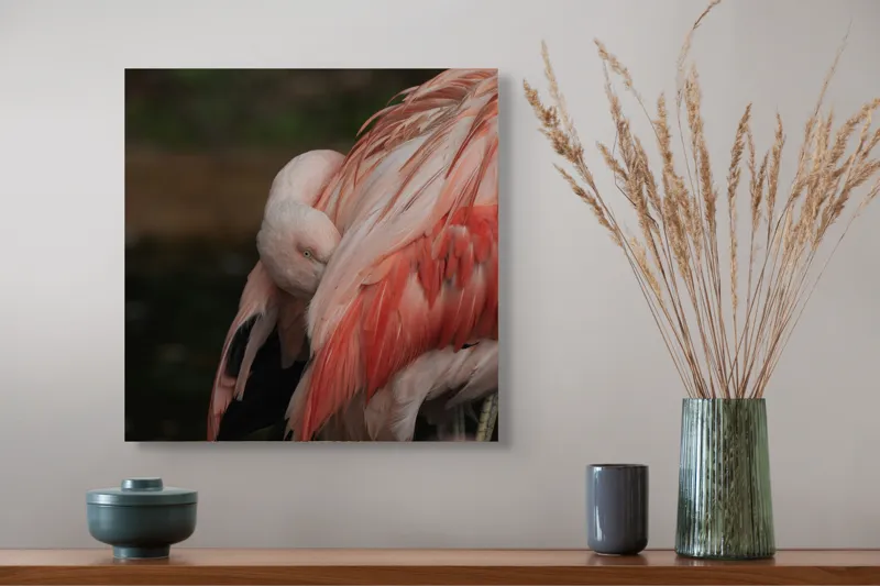 Tablou Canvas, "Flamingo adormit în culori delicate", Roz, Penaj, Flamingo, Delicat, Serenitate, Odihnă, Natură, Eleganță., 50 x 50 cm – poza 4
