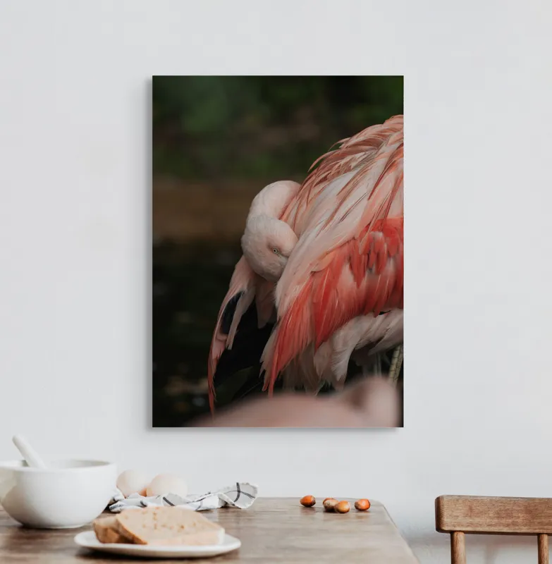 Tablou Canvas, "Flamingo adormit în culori delicate", Roz, Penaj, Flamingo, Delicat, Serenitate, Odihnă, Natură, Eleganță., 50 x 70 cm – poza 3