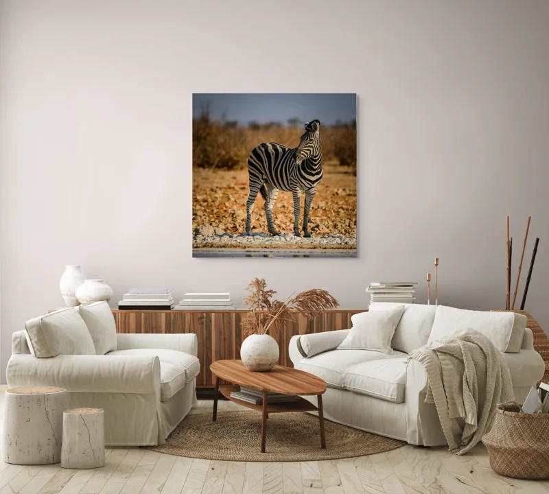 Tablou Canvas, "Zebra singuratică în savană africană", Zebră, Dungată, Savana, Apus, Solitară, Peisaj, Reflecție, Calmă., 100 x 100 cm – poza 3