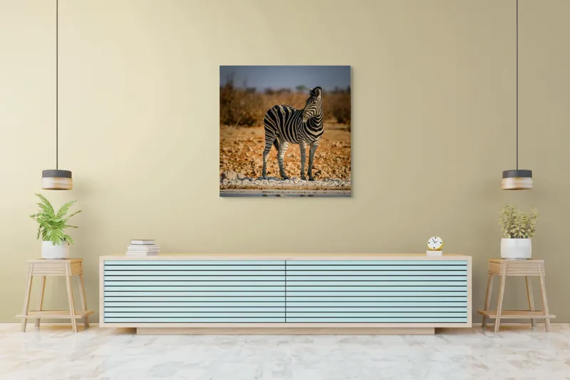 Tablou Canvas, "Zebra singuratică în savană africană", Zebră, Dungată, Savana, Apus, Solitară, Peisaj, Reflecție, Calmă., 100 x 100 cm – poza 5
