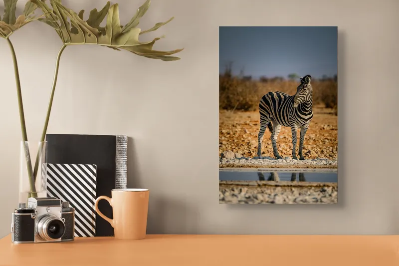 Tablou Canvas, "Zebra singuratică în savană africană", Zebră, Dungată, Savana, Apus, Solitară, Peisaj, Reflecție, Calmă., 26 x 39 cm – poza 3