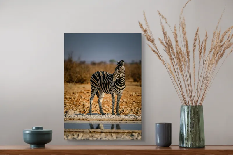 Tablou Canvas, "Zebra singuratică în savană africană", Zebră, Dungată, Savana, Apus, Solitară, Peisaj, Reflecție, Calmă., 39 x 54 cm – poza 3