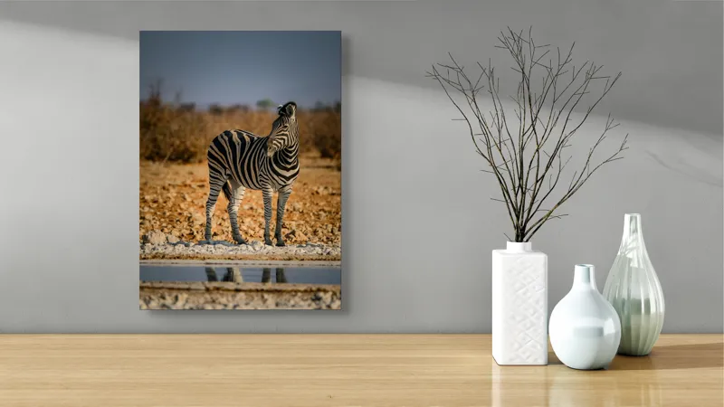 Tablou Canvas, "Zebra singuratică în savană africană", Zebră, Dungată, Savana, Apus, Solitară, Peisaj, Reflecție, Calmă., 39 x 54 cm – poza 4
