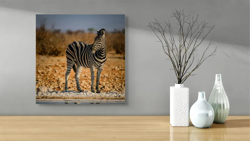 Tablou Canvas, "Zebra singuratică în savană africană", Zebră, Dungată, Savana, Apus, Solitară, Peisaj, Reflecție, Calmă., 50 x 50 cm – poza 3