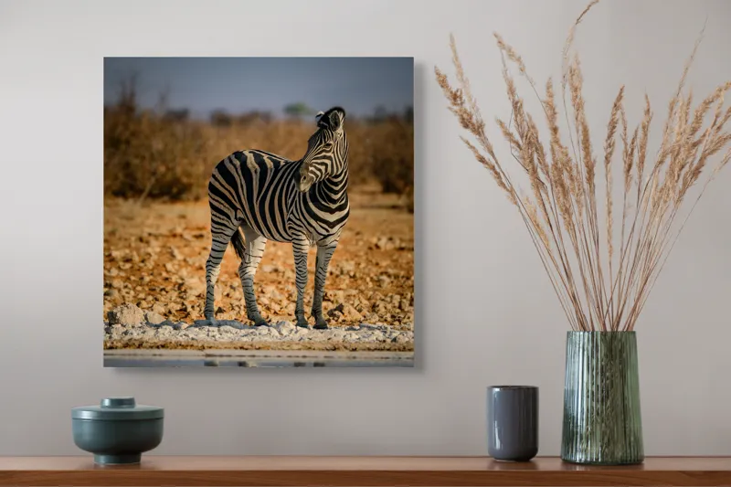 Tablou Canvas, "Zebra singuratică în savană africană", Zebră, Dungată, Savana, Apus, Solitară, Peisaj, Reflecție, Calmă., 50 x 50 cm – poza 4