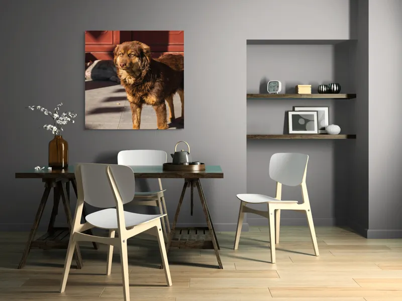 Tablou Canvas, "Câine în lumina soarelui de dimineață", 100 x 100 cm – poza 6