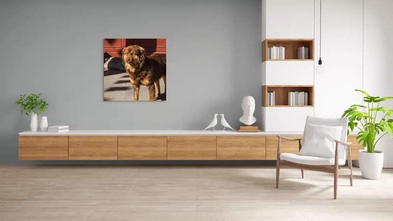 Tablou Canvas, "Câine în lumina soarelui de dimineață", 100 x 100 cm – poza 8