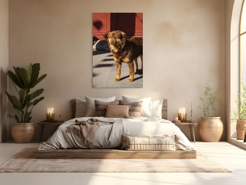 Tablou Canvas, "Câine în lumina soarelui de dimineață", Nu știu cine este în imagine., 100 x 150 cm – poza 3