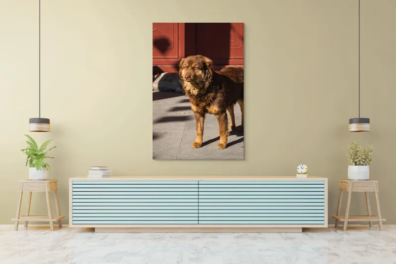 Tablou Canvas, "Câine în lumina soarelui de dimineață", Nu știu cine este în imagine., 100 x 150 cm – poza 4