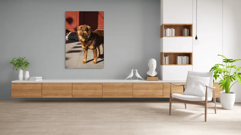 Tablou Canvas, "Câine în lumina soarelui de dimineață", Nu știu cine este în imagine., 100 x 150 cm – poza 8
