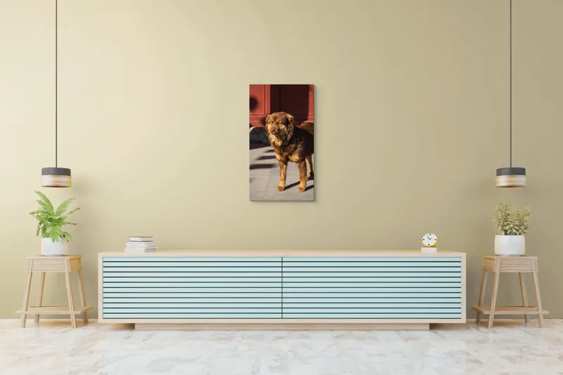 Tablou Canvas, "Câine în lumina soarelui de dimineață", 50 x 90 cm – poza 6