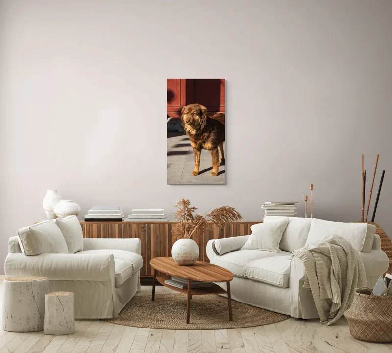 Tablou Canvas, "Câine în lumina soarelui de dimineață", 50 x 90 cm – poza 7
