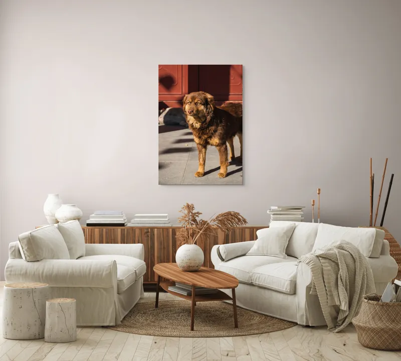 Tablou Canvas, "Câine în lumina soarelui de dimineață", 70 x 100 cm – poza 4