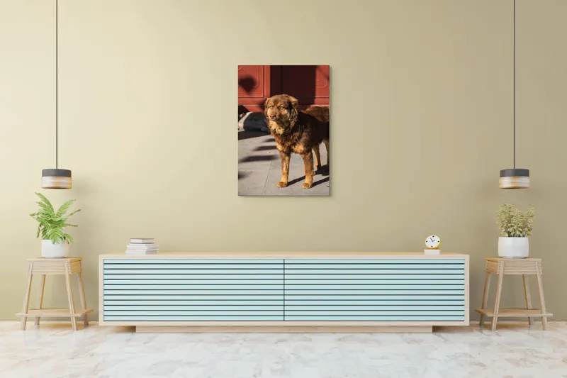 Tablou Canvas, "Câine în lumina soarelui de dimineață", 70 x 100 cm – poza 5