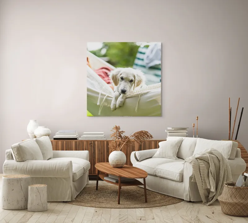 Tablou Canvas, "Cățelușul visător în hamac alb", Neștiință, Relaxare, Cățeluș, Hamac, Natură, Blândețe, Liniște, 100 x 100 cm – poza 3