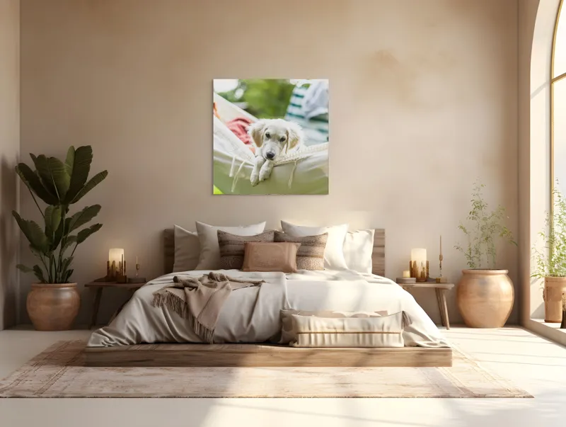 Tablou Canvas, "Cățelușul visător în hamac alb", Neștiință, Relaxare, Cățeluș, Hamac, Natură, Blândețe, Liniște, 100 x 100 cm – poza 4