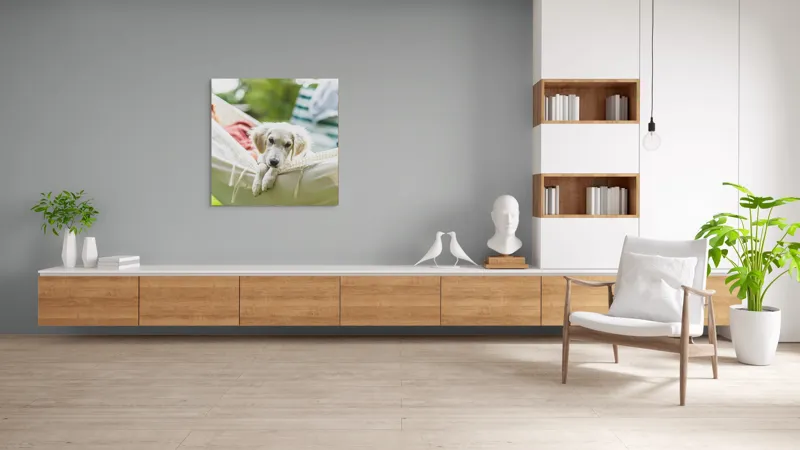 Tablou Canvas, "Cățelușul visător în hamac alb", Neștiință, Relaxare, Cățeluș, Hamac, Natură, Blândețe, Liniște, 100 x 100 cm – poza 8