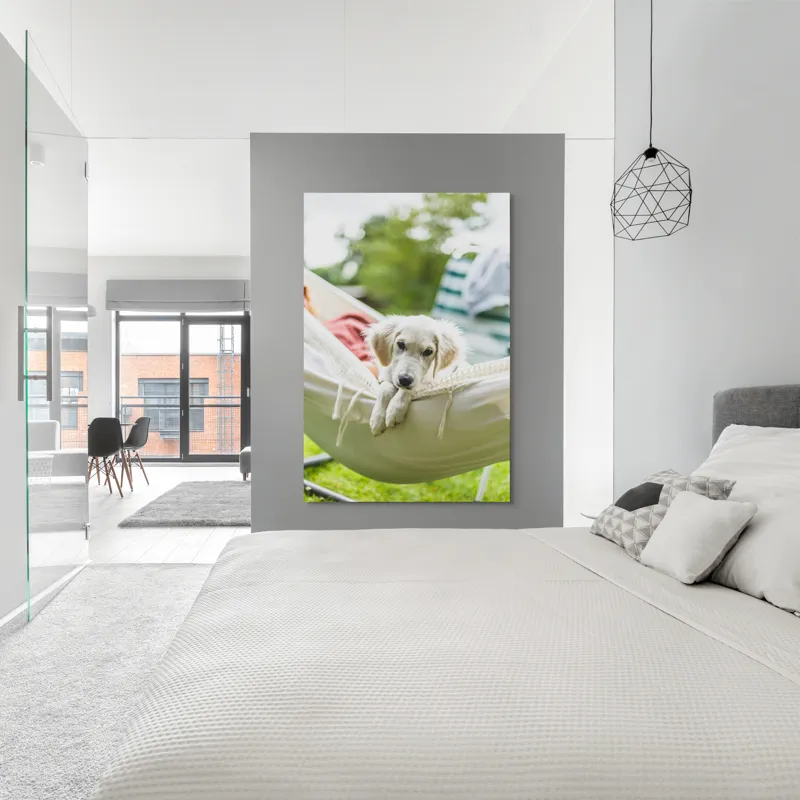 Tablou Canvas, "Cățelușul visător în hamac alb", Neștiință, Relaxare, Cățeluș, Hamac, Natură, Blândețe, Liniște, 100 x 150 cm – poza 5