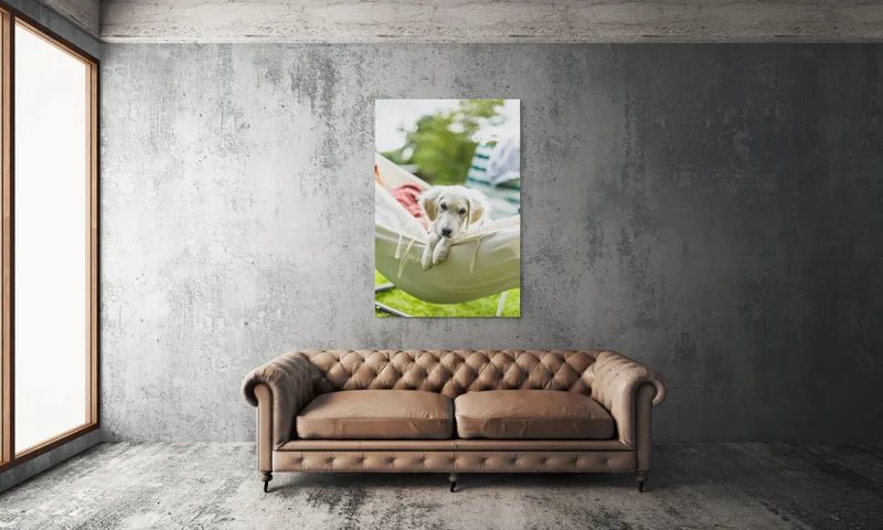 Tablou Canvas, "Cățelușul visător în hamac alb", Neștiință, Relaxare, Cățeluș, Hamac, Natură, Blândețe, Liniște, 100 x 150 cm – poza 6