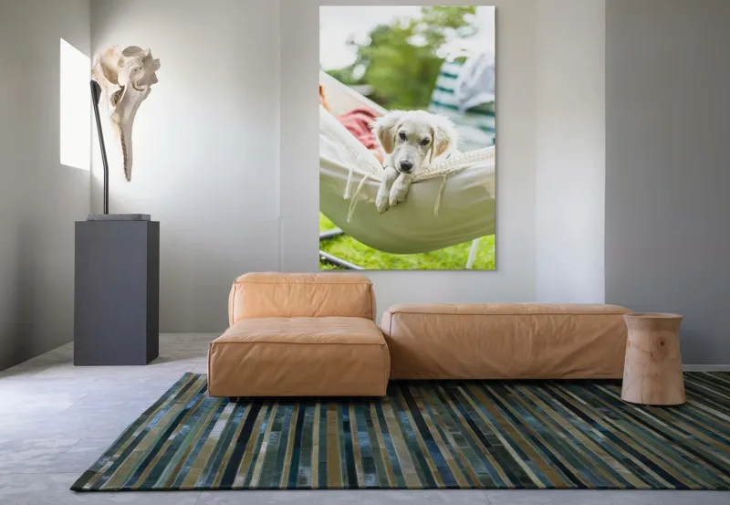 Tablou Canvas, "Cățelușul visător în hamac alb", Neștiință, Relaxare, Cățeluș, Hamac, Natură, Blândețe, Liniște, 100 x 150 cm – poza 7