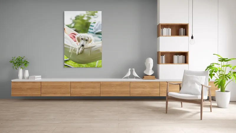 Tablou Canvas, "Cățelușul visător în hamac alb", Neștiință, Relaxare, Cățeluș, Hamac, Natură, Blândețe, Liniște, 100 x 150 cm – poza 8
