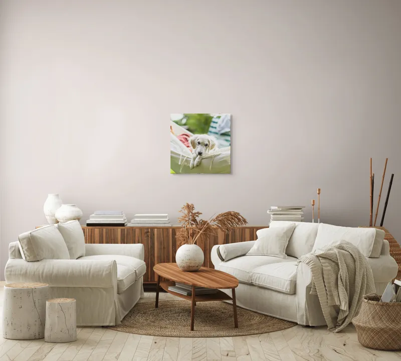 Tablou Canvas, "Cățelușul visător în hamac alb", Neștiință, Relaxare, Cățeluș, Hamac, Natură, Blândețe, Liniște, 50 x 50 cm – poza 7