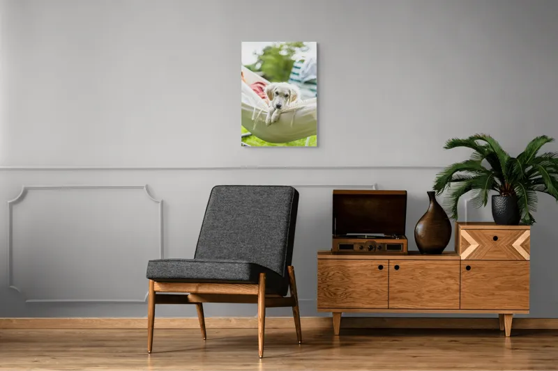 Tablou Canvas, "Cățelușul visător în hamac alb", Neștiință, Relaxare, Cățeluș, Hamac, Natură, Blândețe, Liniște, 50 x 70 cm – poza 8