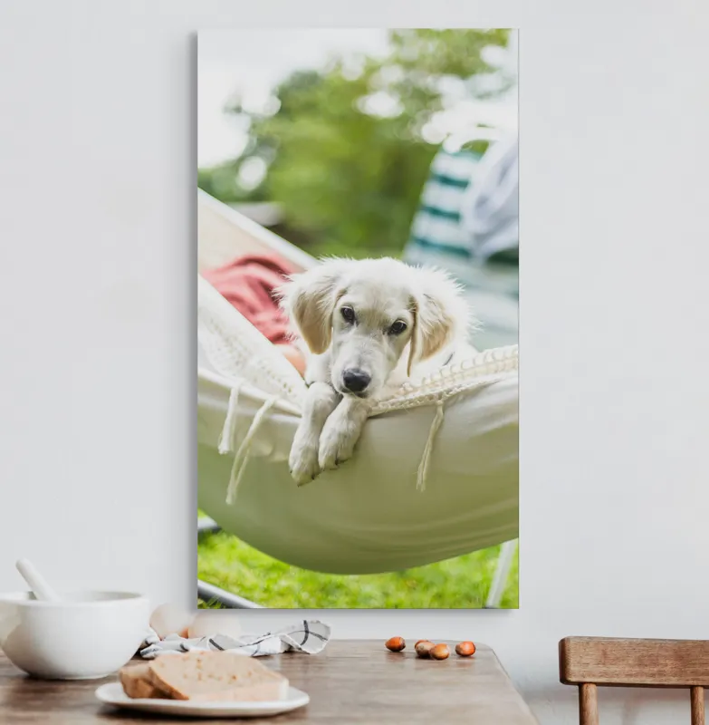 Tablou Canvas, "Cățelușul visător în hamac alb", Neștiință, Relaxare, Cățeluș, Hamac, Natură, Blândețe, Liniște, 50 x 90 cm – poza 3