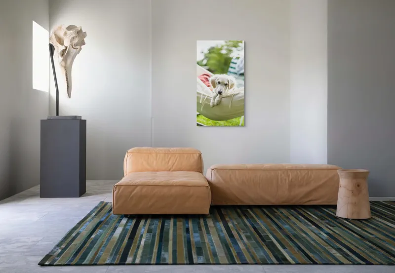 Tablou Canvas, "Cățelușul visător în hamac alb", Neștiință, Relaxare, Cățeluș, Hamac, Natură, Blândețe, Liniște, 50 x 90 cm – poza 5