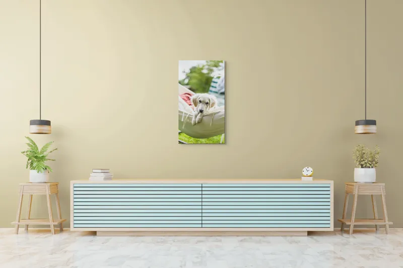 Tablou Canvas, "Cățelușul visător în hamac alb", Neștiință, Relaxare, Cățeluș, Hamac, Natură, Blândețe, Liniște, 50 x 90 cm – poza 6