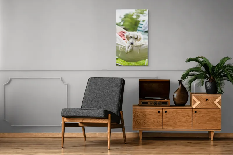 Tablou Canvas, "Cățelușul visător în hamac alb", Neștiință, Relaxare, Cățeluș, Hamac, Natură, Blândețe, Liniște, 50 x 90 cm – poza 8