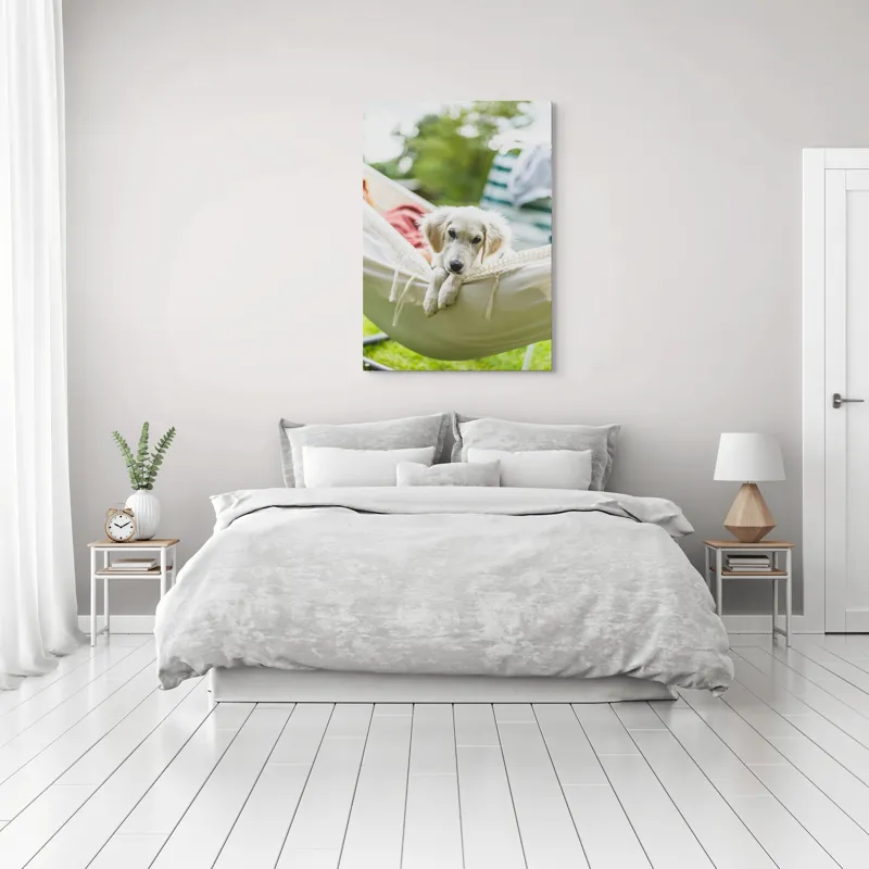 Tablou Canvas, "Cățelușul visător în hamac alb", Neștiință, Relaxare, Cățeluș, Hamac, Natură, Blândețe, Liniște, 70 x 100 cm – poza 3
